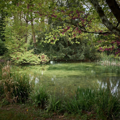 Domaine de blacons organisation mariage dans la drome (2)